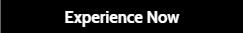 Experience Now