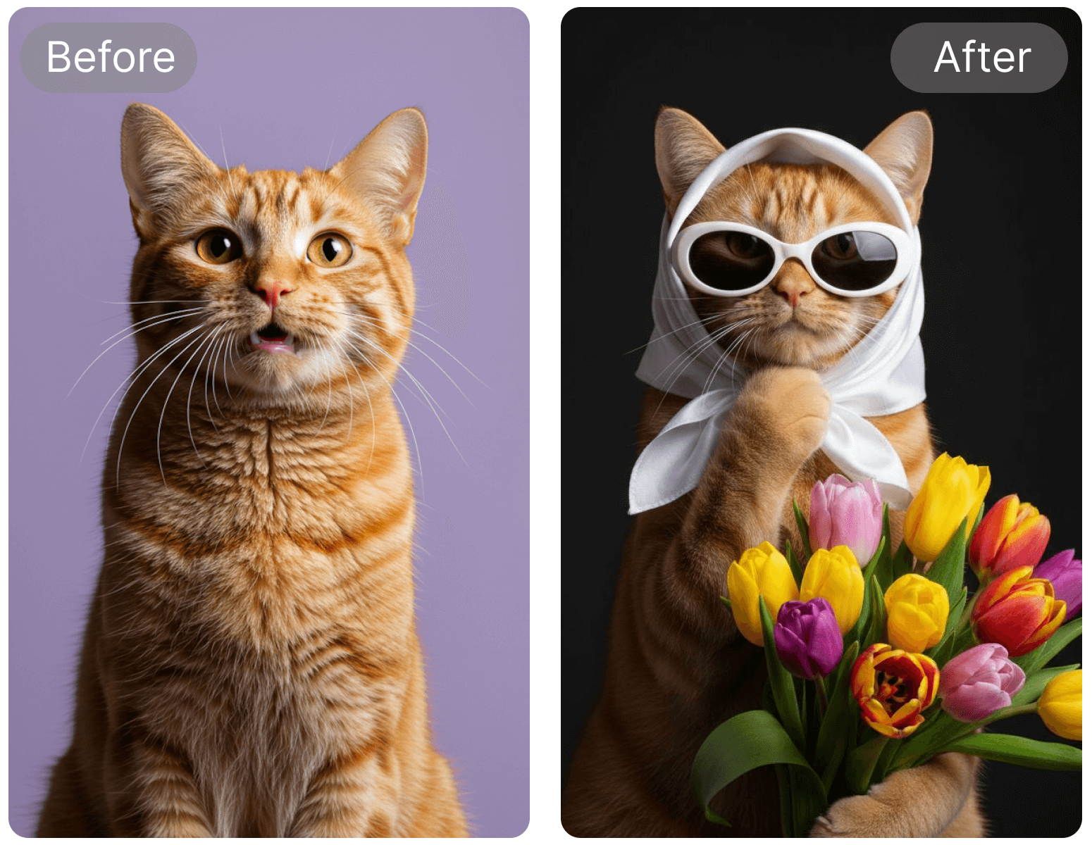 ai generated magzine style pet portrait
