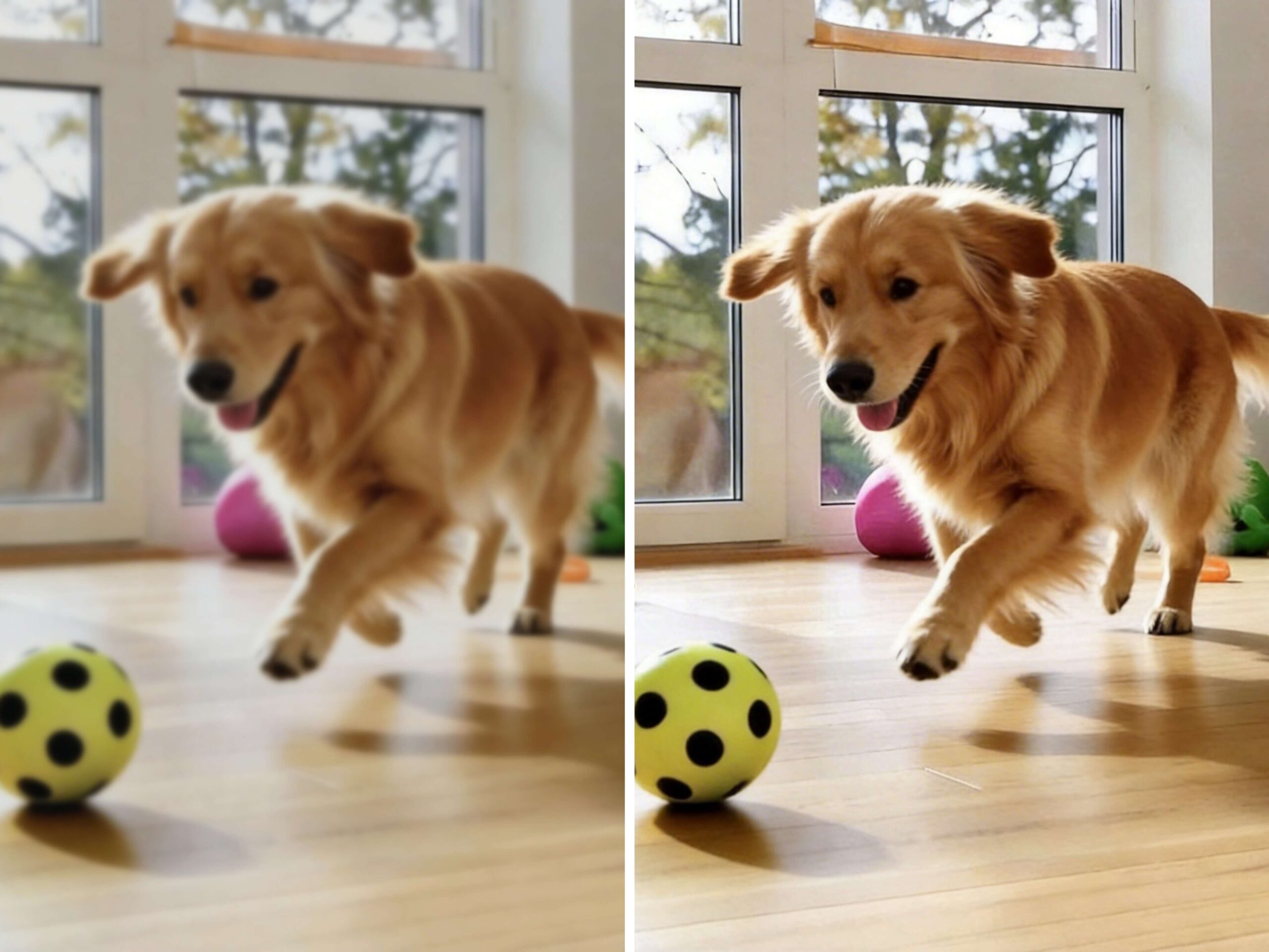 Cover image showing the before and after result of using an AI video upscaler to improve video quality, fix blurry video, convert 1080p to 4K