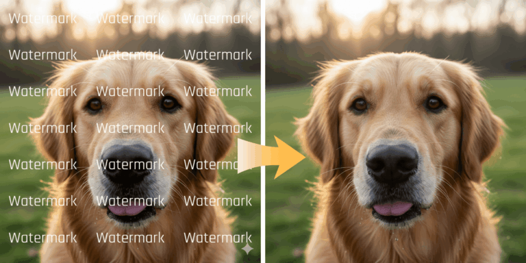 video watermark remover