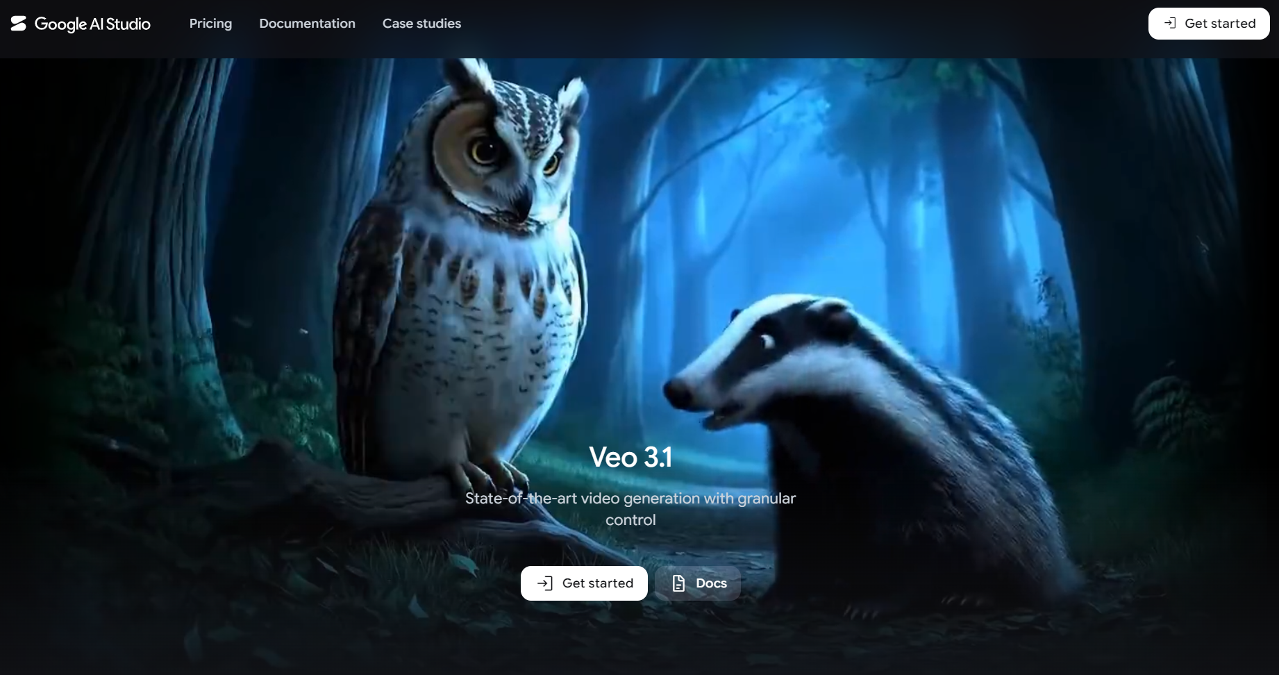 Google AI Studio Veo 3.1 interface showing a generated owl and badger scene.